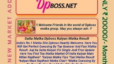 dpboss net result