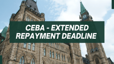 CEBA Loan Work