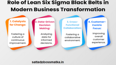 Six Sigma