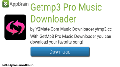 getmp3 pro