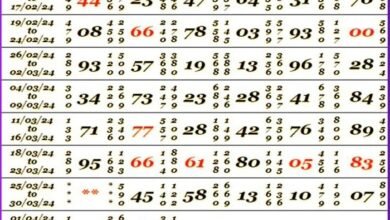 satta king 786