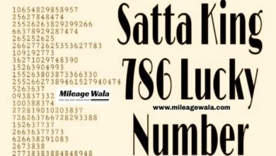 satta 786